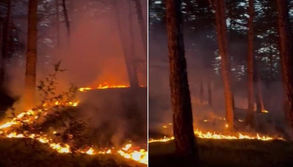 Düşen yıldırım ormanı yaktı