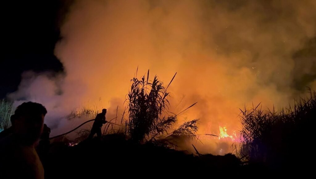 Hatay’da sazlık yangını