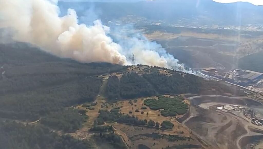 İzmir Aliağa’da orman yangını