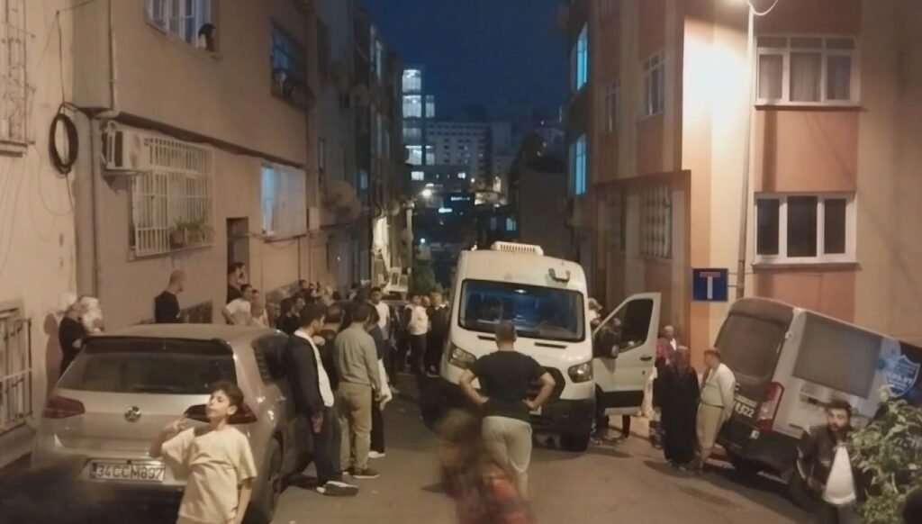 Kardeş kavgası cinayet ve intiharla bitti