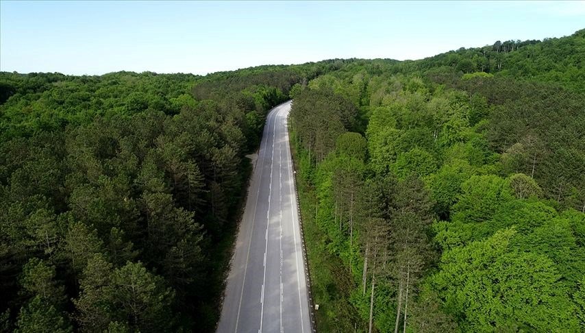 Kocaeli’de ormanlık alanlara giriş yasağı