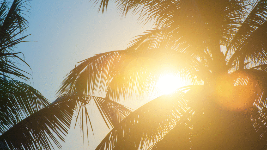 Meteoroloji uyardı: Termometreler 30 derecenin üstüne çıkıyor, iki bölgenin kıyı illerinde sağanak yağış var