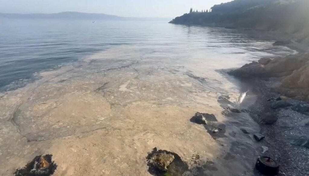 Müsilaj yeniden Gemlik Körfezi’nde