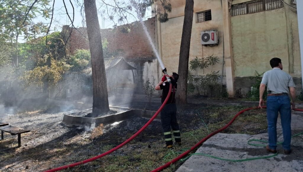 Araştırma merkezinin bahçesinde yangın: Yan binaya da sıçradı