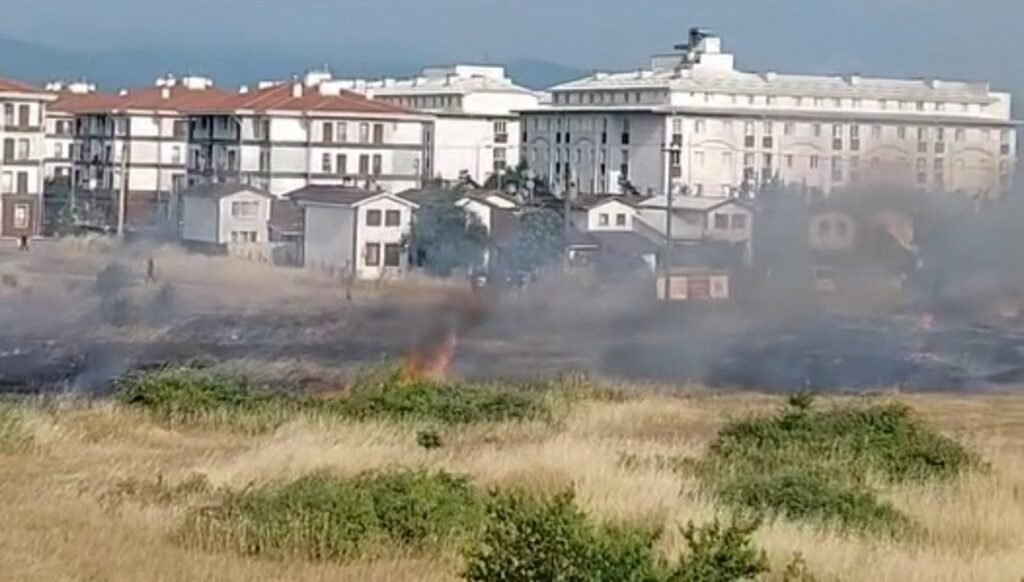 Elektrik teline çarpan kuş yangın çıkardı