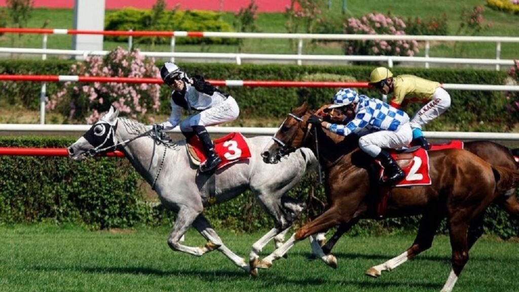 Gazi Koşusu ne zaman, hangi kanalda? 99. Gazi Koşusu’nda yarışan atlar kim?