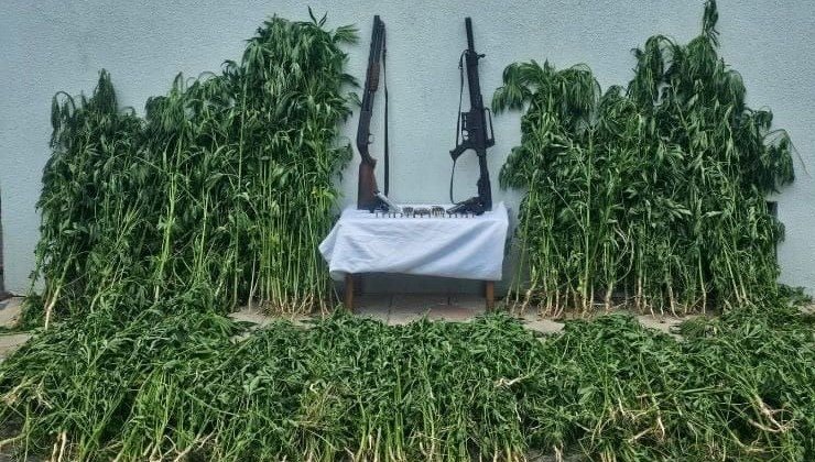 İklimlendirme sistemiyle uyuşturucu üretenlere gözaltı