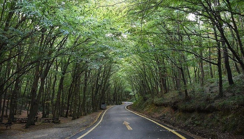 İstanbul’da ormanlık alanlara giriş kısıtlandı