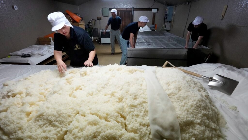 Japonya’da pirinç krizi: Stoklardan 200 bin ton çıkarılacak