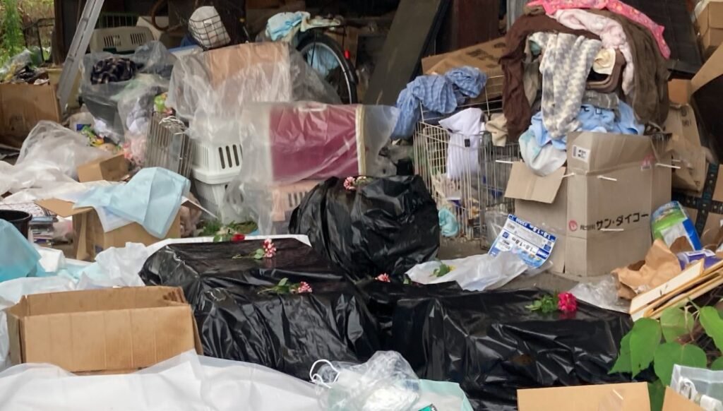 Kedi koruma gönüllüsünün evinde dehşet: Yüzden fazlası ölü bulundu