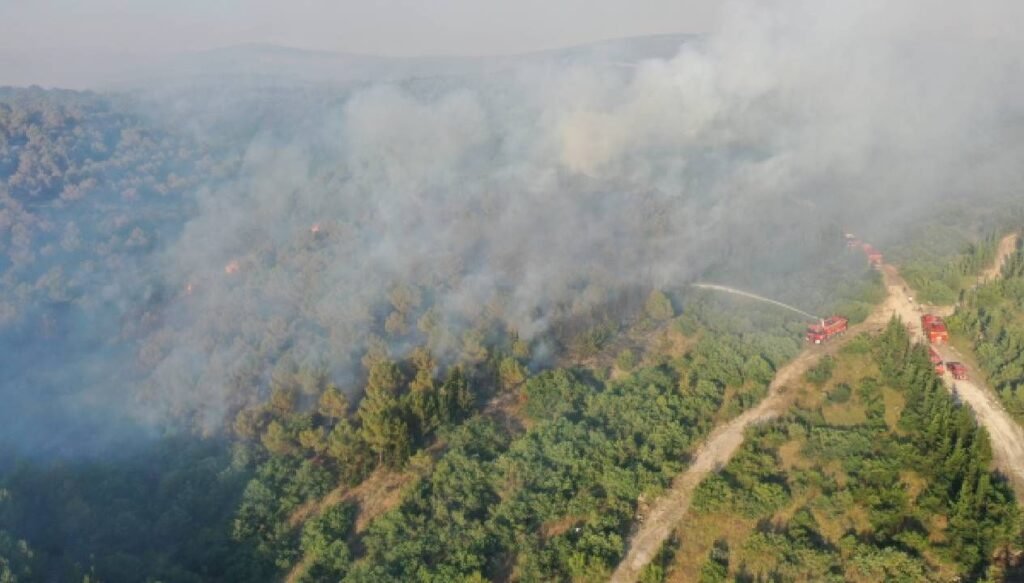 Kepsut’taki orman yangınlarına ilişkin 5 kişi gözaltına alındı