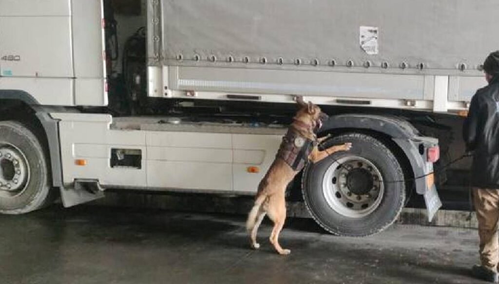 Limanda uyuşturucu oparasyonu