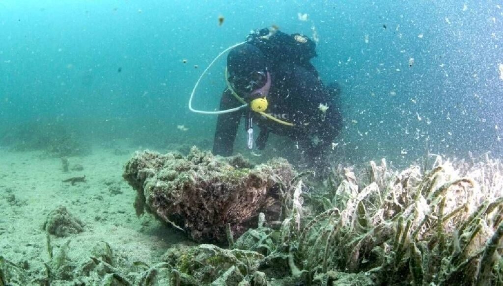 Marmara alarm veriyor: Mercanlar müsilajla kaplı