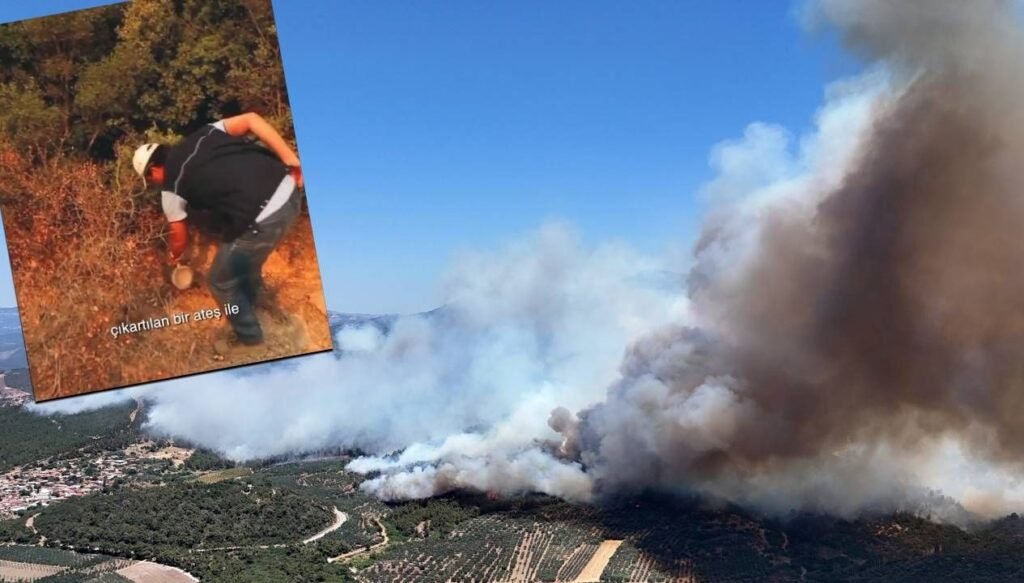 OGM: “Kundaklama” değil, karşı ateş