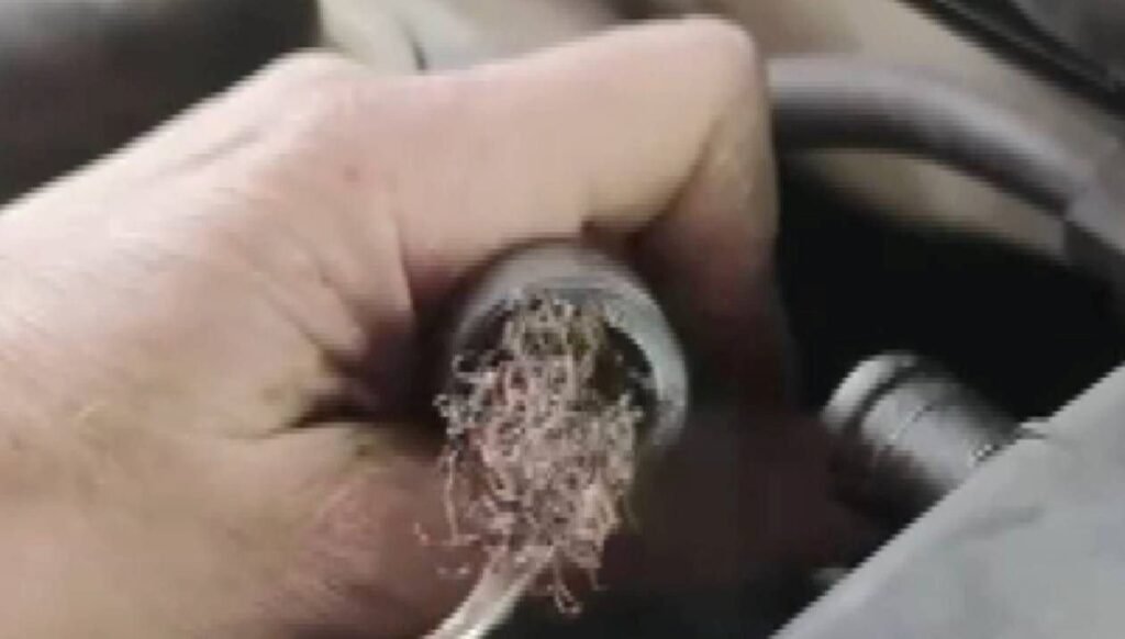 Pes dedirten görüntü: Otomobilin motorundan çıktı