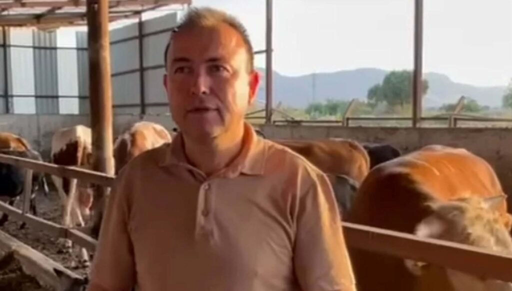 Sattığı kurbanlığın fotoğrafını çekerken canından oldu