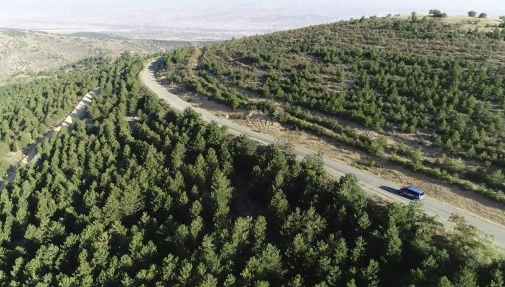 Tekirdağ’da yangın tedbiri: Ormanlara girişler 5 ay yasak