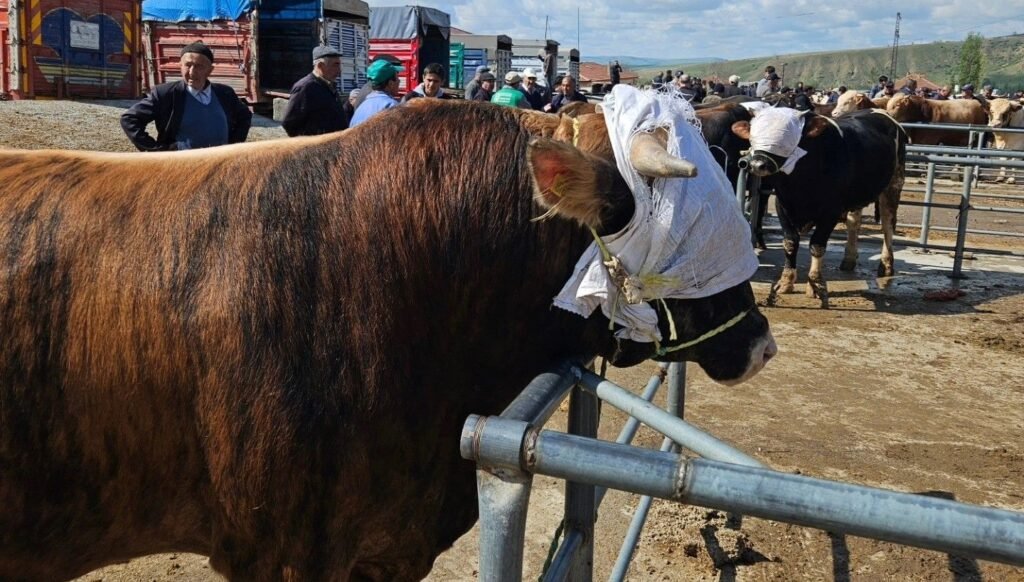 Yozgat’ta hayvan pazarları tedbir amaçlı kapatıldı