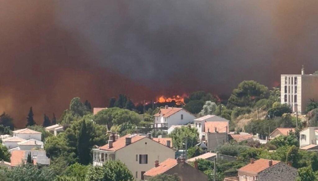 Avrupa da orman yangınlarıyla boğuşuyor