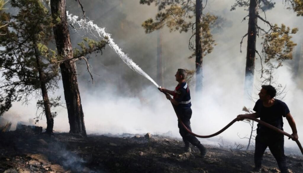 Bakan Tunç açıkladı: Yangınlarla ilgili 17 kişi tutuklandı