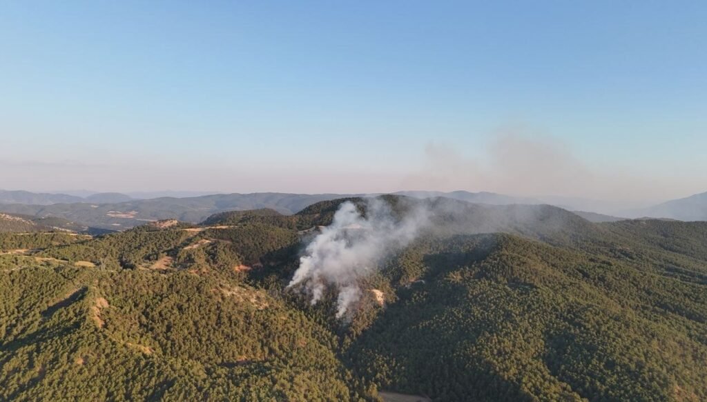 Bolu’daki orman yangını büyüyor