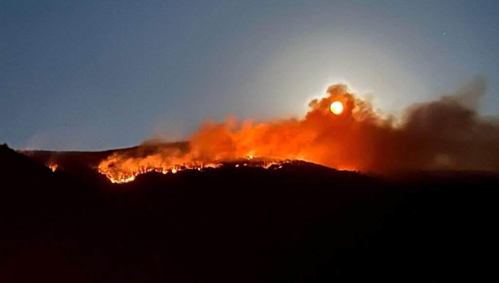 Çankırı’da orman yangını: Ekiplerin müdahalesi sürüyor