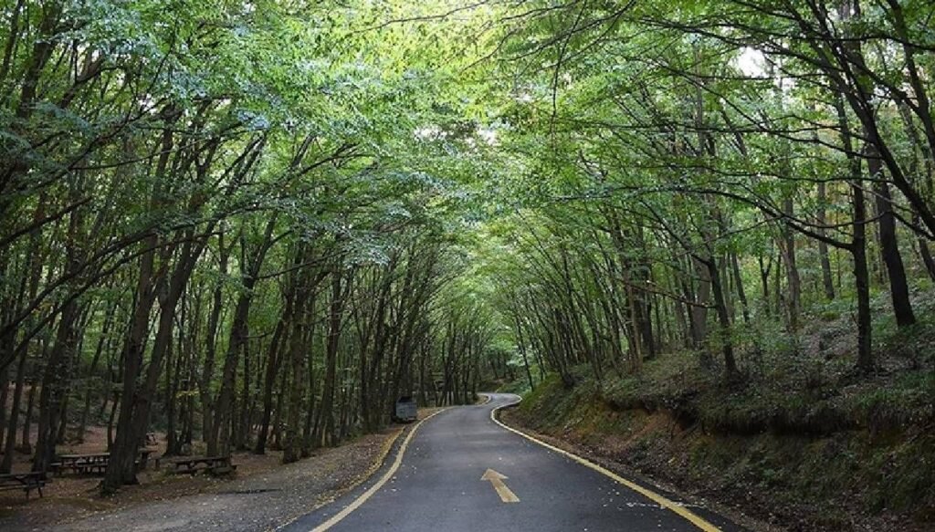 Denizli’de orman ve mesire alanlarına giriş yasağı genişletildi