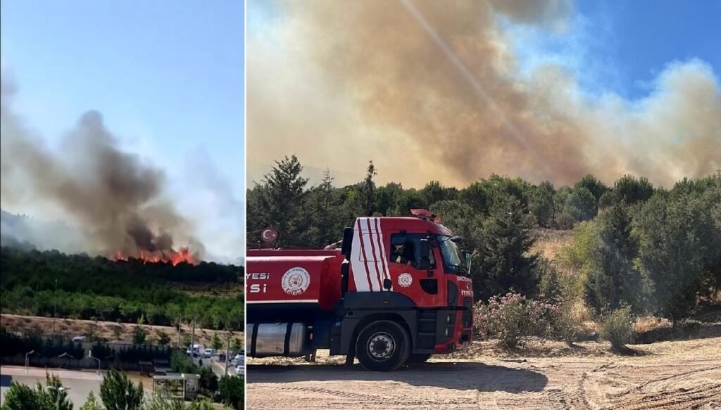 Gebze’de orman yangını