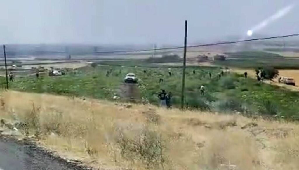 Hasat öncesi karpuz tarlasında yağmaya jandarma müdahalesi: Mardin’de şoke eden olay