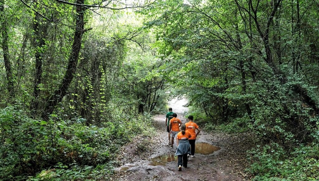 İBB Doğa Kampı kayıtları başladı: İBB Doğa Kampı başvurusu nasıl yapılır?