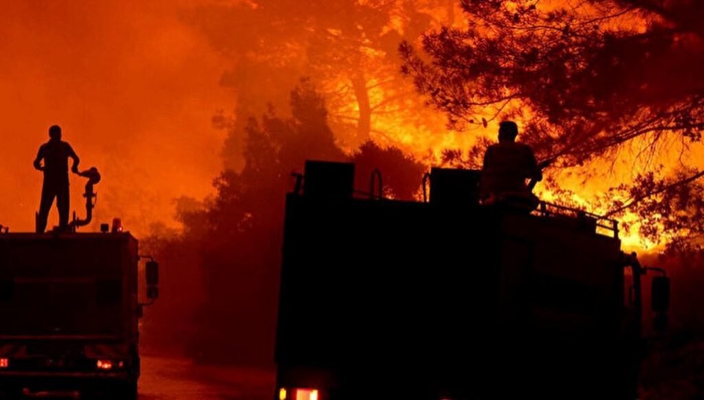 İzmir yangınları: 1 ayda 25 bin hektar kül oldu