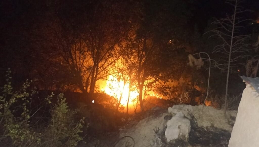 Malatya’da bahçe yangını