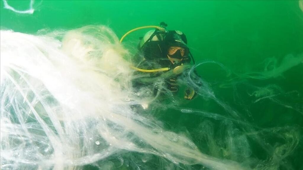 Marmara Denizi ‘nefes aldı’: Son araştırmalarda müsilaja rastlanmadı
