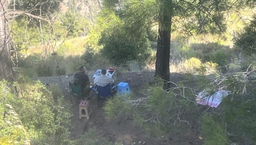 Mersin’de ormanda piknik yapan 4 kişiye para cezası