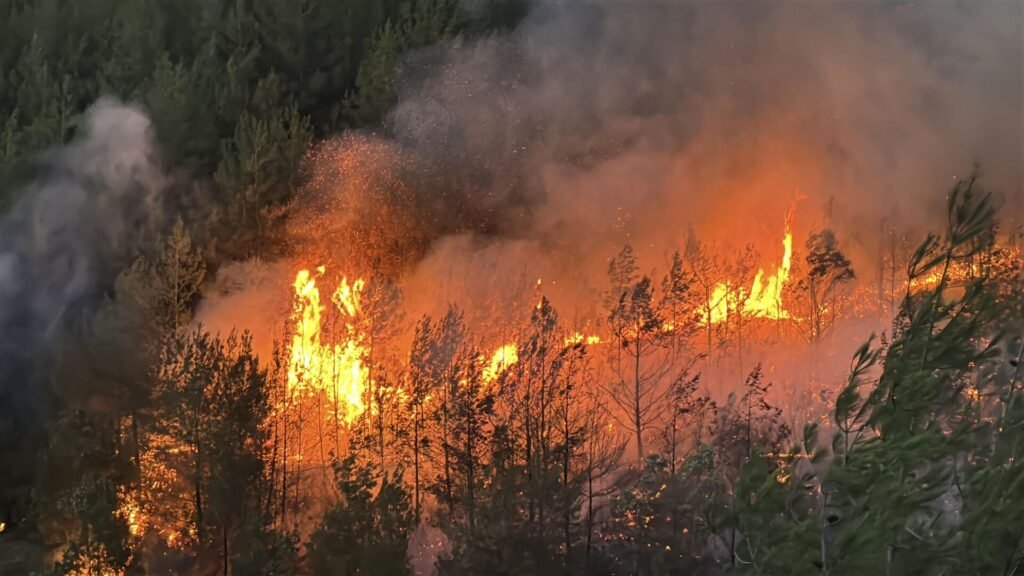 Orman yangınlarında son durum: Alevlerle mücadele devam ediyor