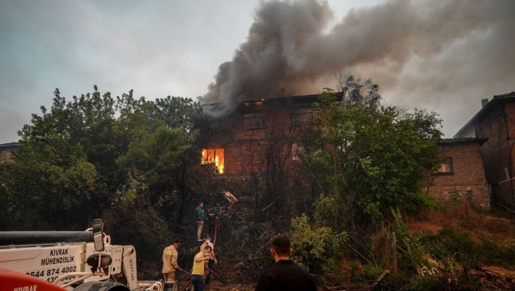 Orman yangınlarının bilançosu: 132 yapı küle döndü
