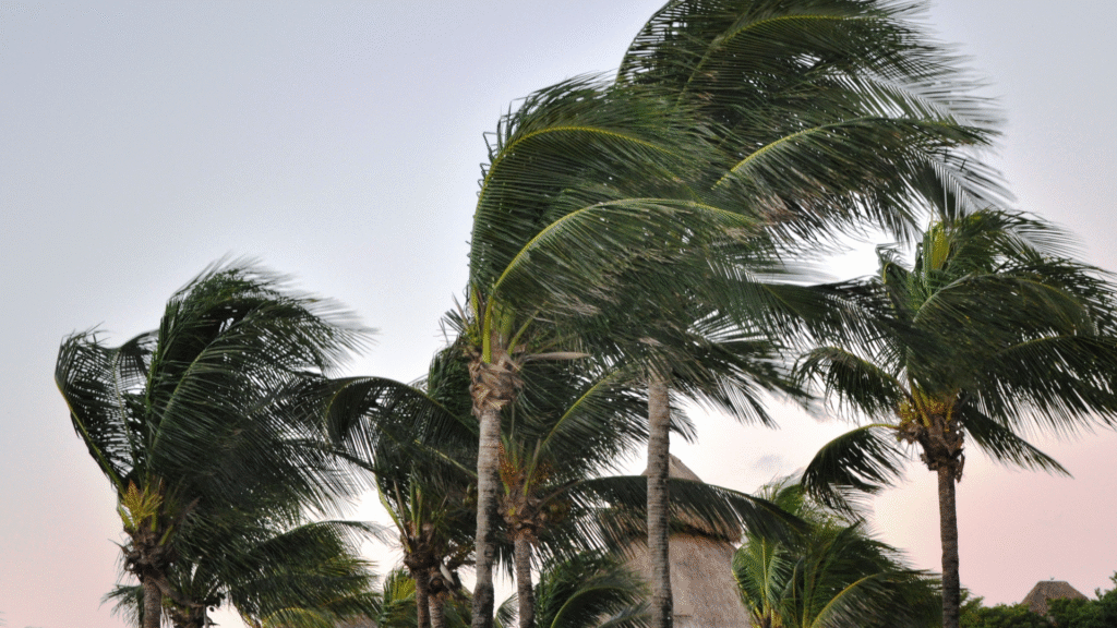 Sıcaklık yükseliyor, rüzgar sert esiyor: İl il hava durumu