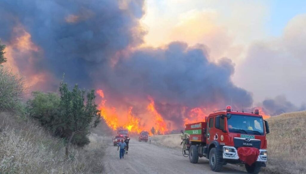 Tekirdağ’da orman yangını: Bir mahalle boşaltılıyor
