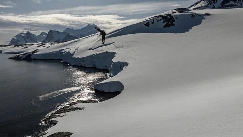 Antarktika’da yarığa düşen kaşif 65 yıl sonra bulundu