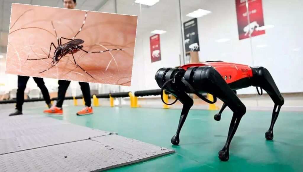 Hong Kong “chikungunya” ile mücadelesinde robot köpekleri kullanacak