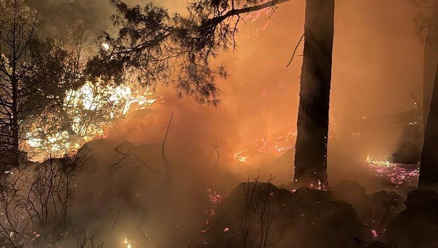 Isparta’da ormanlık alanda çıkan yangın kontrol altında