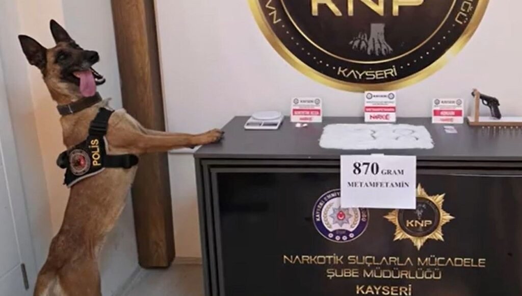 Kayseri’de uyuşturucu şebekesi çökertildi