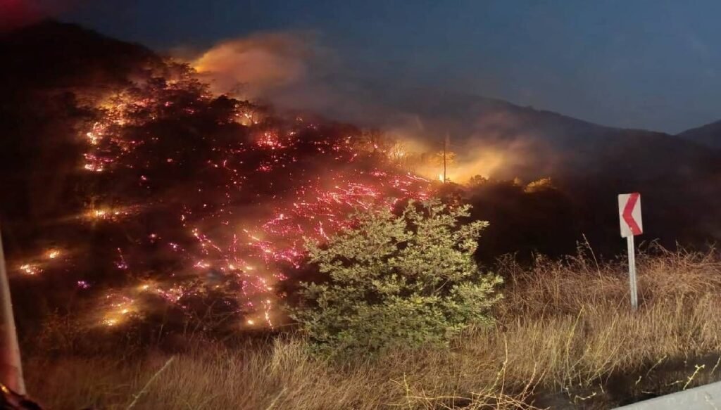 Nazilli’de alevler büyümeden kontrol altına alındı