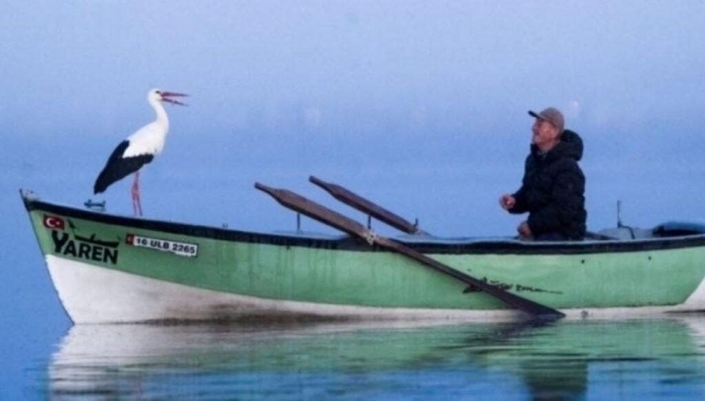 Yaren leylek erken göçtü, Adem Amca üzgün