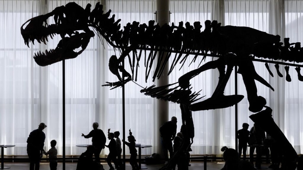 9 bin yıllık kaya çizimleri, eski insanların dinozorları bildiğini ortaya çıkardı