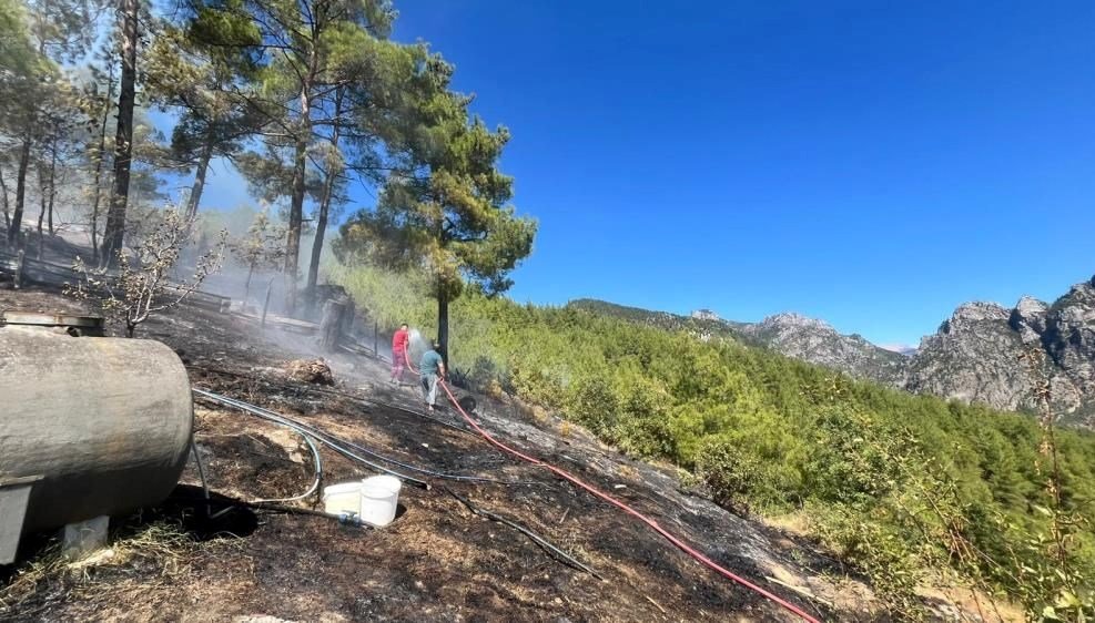 Adana’da orman yangını: Müdahale sürüyor