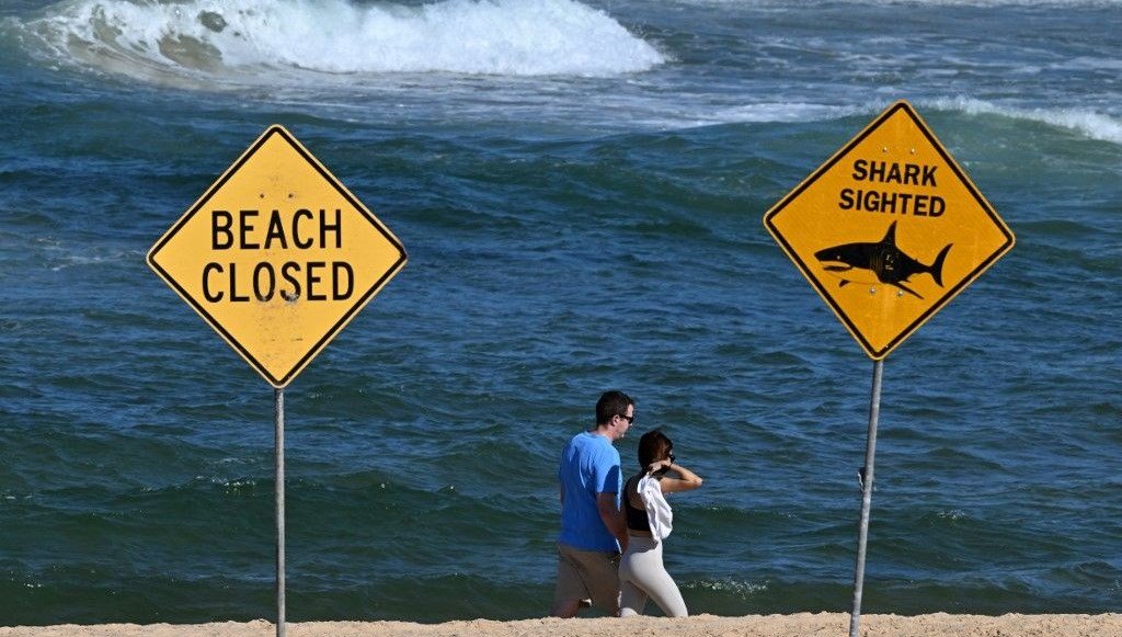 Avustralya’da ölümcül köpek balığı saldırısı: Sahiller kapatıldı