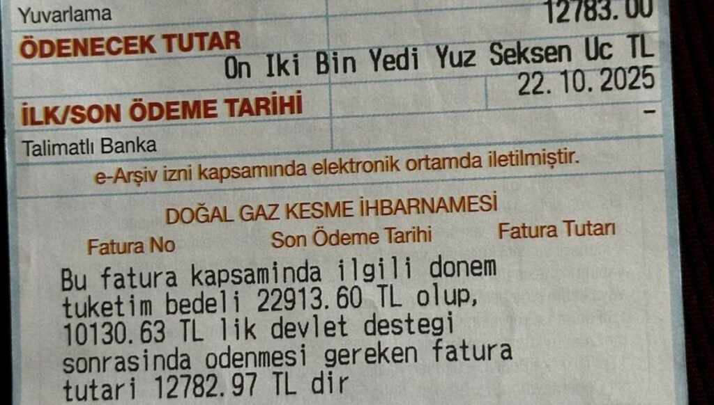 İki kişilik aileyi kara kara düşündüren doğalgaz faturası: “Bu kadar yüksek gelmesi imkansız”