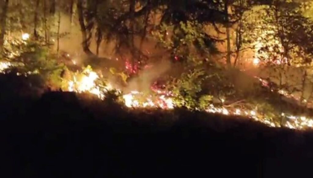 Yığılca yangını 2 saatte kontrol altında