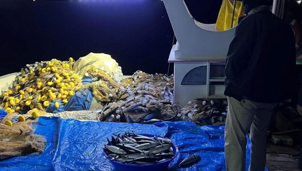 Bir gecede binlerce palamut avladı